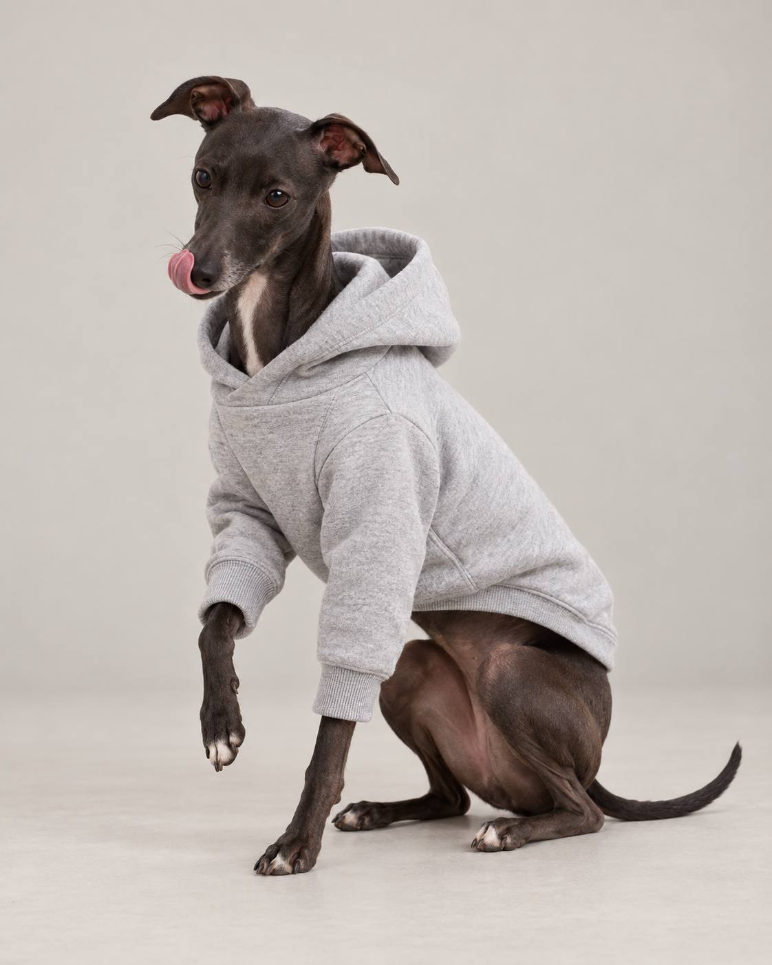 Hoodie for an Italian greyhound — Grey marl